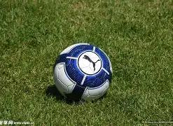 落选逆袭,巨星,里夫斯成就,大发彩票,购彩大厅,大发快三网站,大发彩票邀请码,大发彩票邀请码注