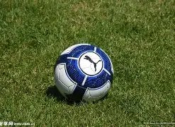 彪马,财年,全球收入达,大发彩票,购彩大厅,大发快三网站,大发彩票邀请码,大发彩票邀请码注