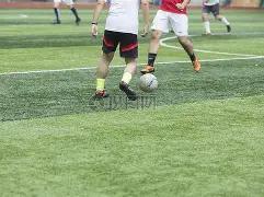 双色球,揭秘大师独,家定胆杀码,大发彩票,购彩大厅,大发快三网站,大发彩票邀请码,大发彩票邀请码注