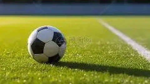 银川至香港直飞航线再迎鞠婧祎，明星助阵造梦之旅开启新篇章