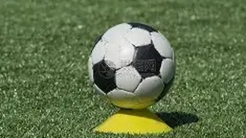 【霓裳舞亲】第3341期幸运星预测：__闪耀9星，神秘7星，惊喜连连__！