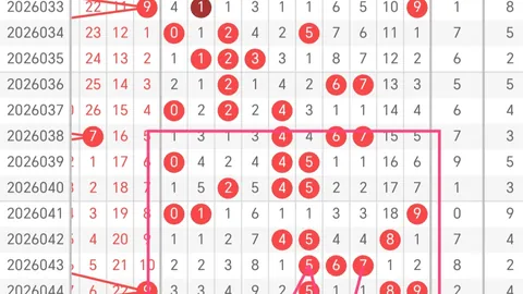 大乐透026期专家质合分析：首尾两码推荐03、26