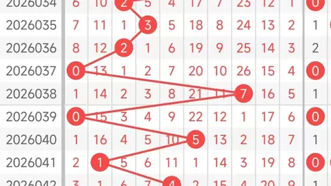 福彩3D第26068期专家推荐：主防定位555，中奖在望